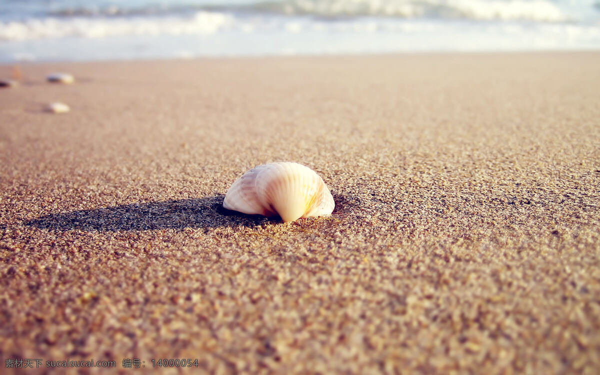 唯美 海滩 上 贝壳 高清 海边 记忆 沙滩