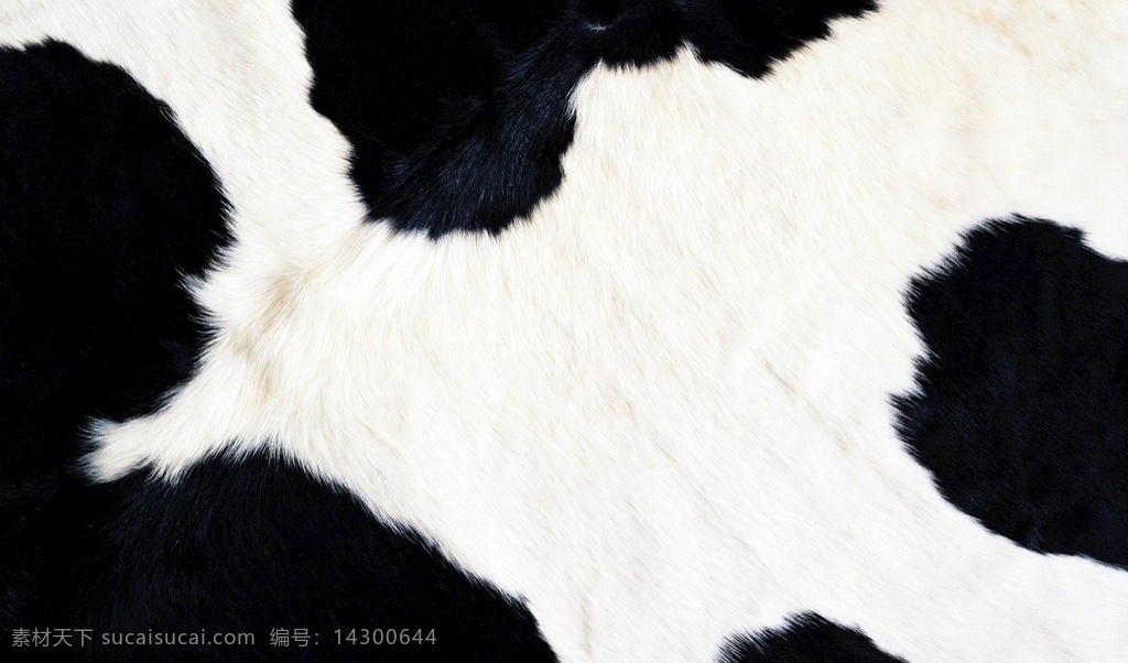 奶牛花纹图片 斑纹 奶牛 底纹 底色 黑白 牛奶 可爱 花纹 蒙牛 卡通设计
