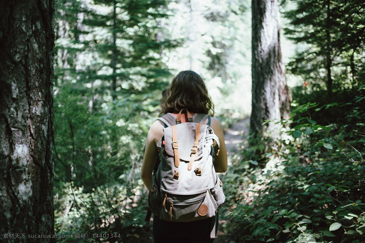 背包 旅行 美女 高清 美女背影 徒步者 徒步旅行 树林