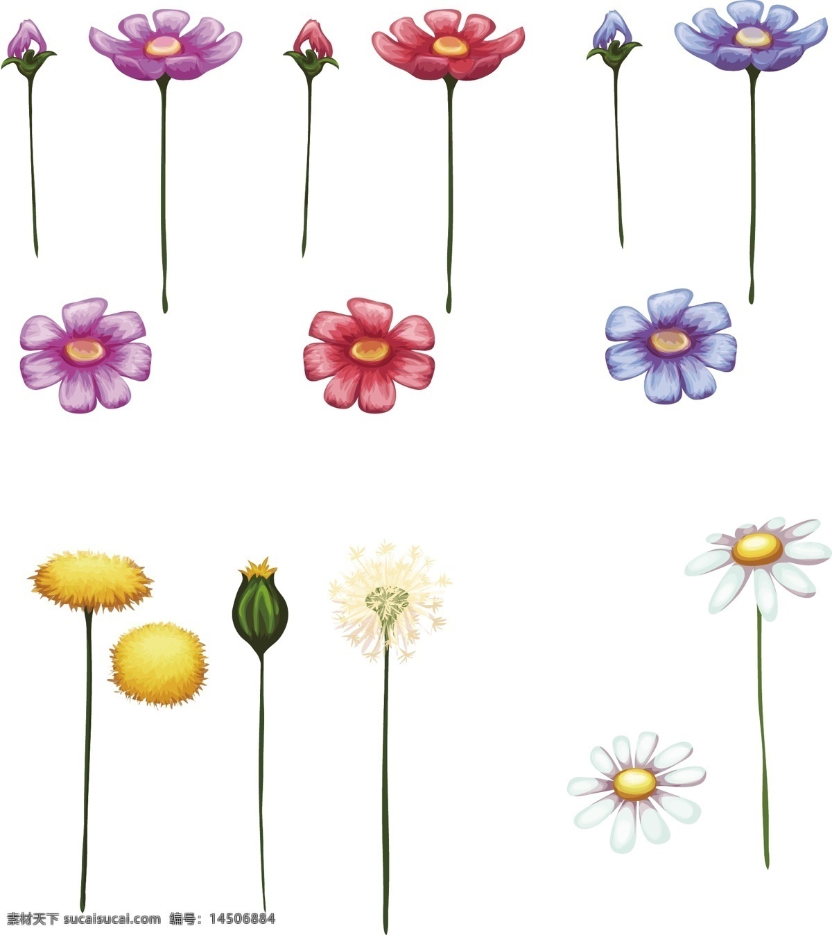 可爱 花朵 分解 卡通 矢量 植物 装饰 紫色 蓝色 粉色 红色 蒲公英 插画 树叶 夏天 春天 叶子 小清新 文艺 包装 海报