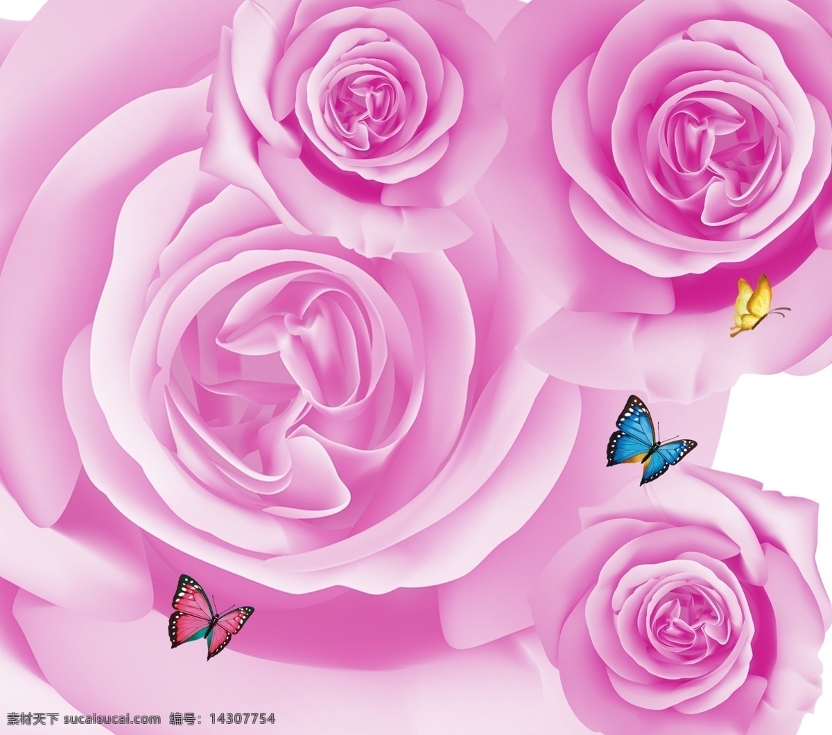 高清 梦幻 紫色 玫瑰花 唯美玫瑰 水珠玫瑰 玫瑰花素材 模板 花束 玫瑰花束 情人节 倒影 红色玫瑰 红色 诱惑 生物世界 分层