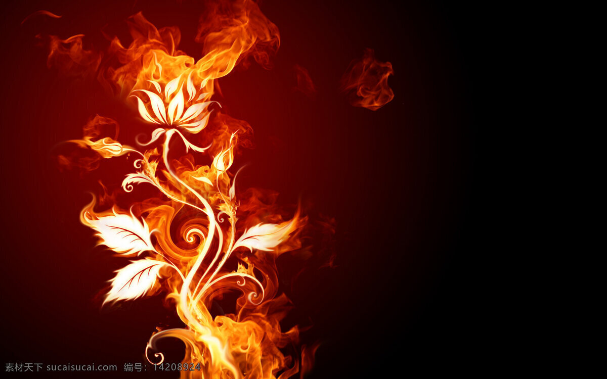 火焰 莲花 壁纸 背景图片 花朵 火焰莲花 火焰壁纸 底纹边框