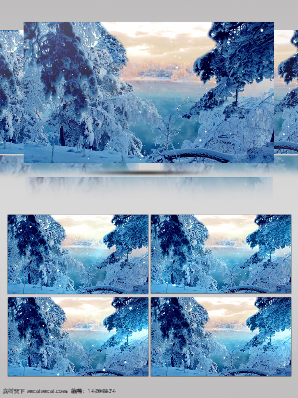 浪漫 雪景 飘 雪松 树林 视频 唯美 雪地 阳光 冬天 冬季 白雪 飘落 冰晶