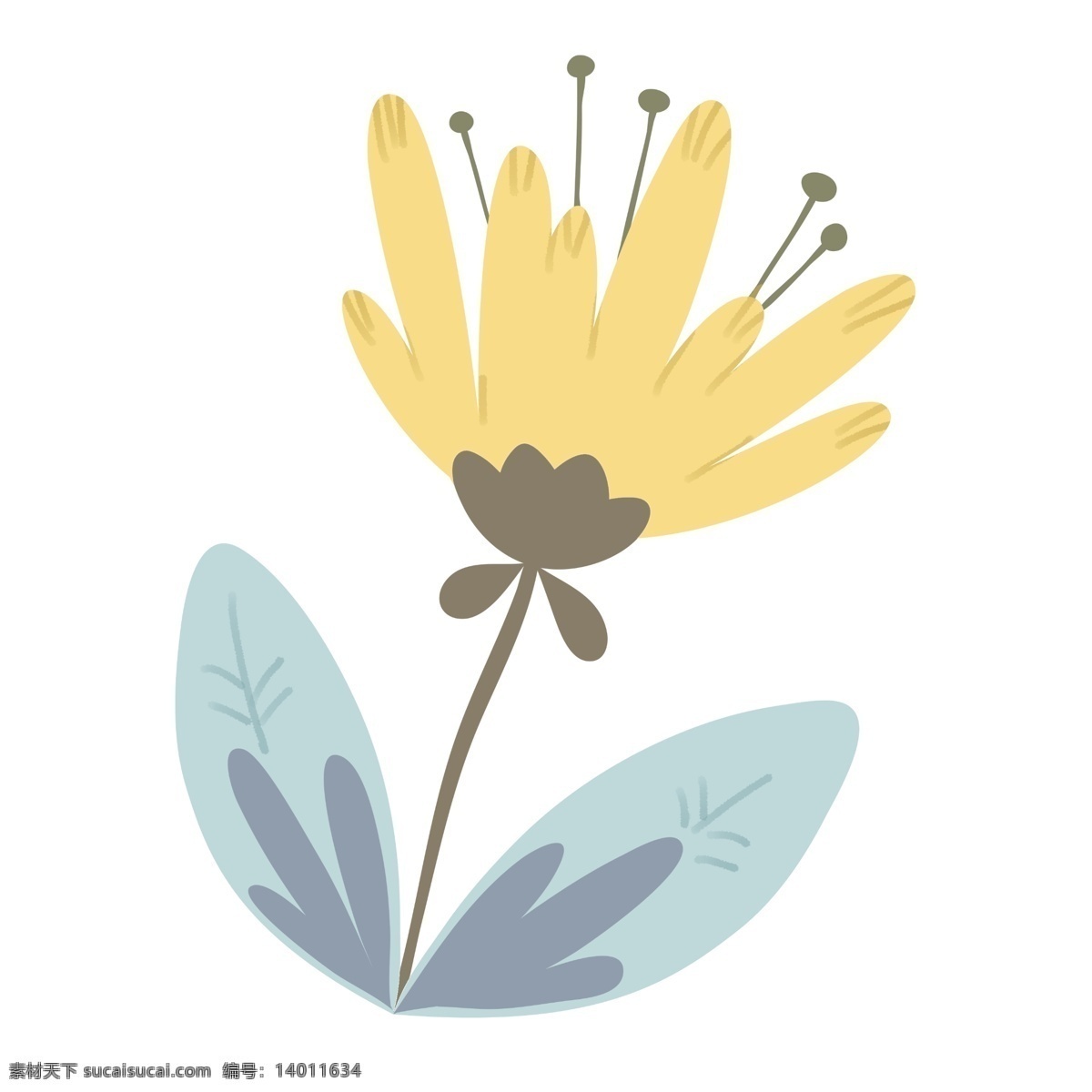 黄色 立体 花朵 插图 盛开的花朵 黄色花朵 图案装饰 精美的设计 创意插图 两片叶子 花朵鲜花