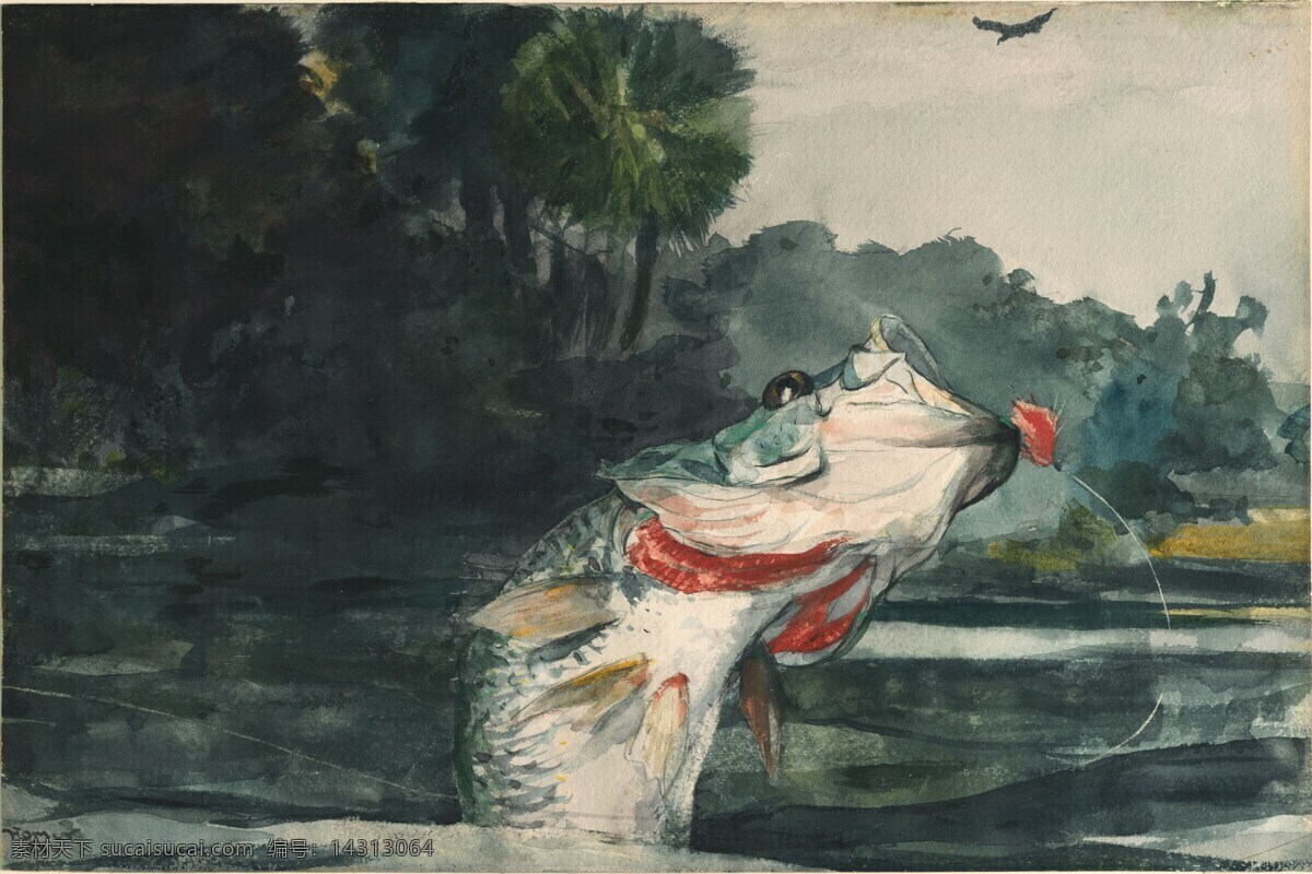 温斯 洛 霍默 水彩画 温斯洛霍默 美国 水彩 美术 绘画 鱼 池塘 绘画书法 文化艺术