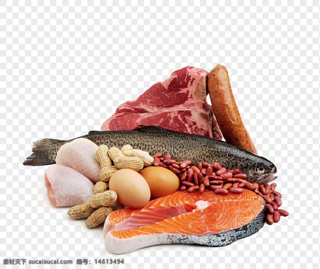 高蛋白食物 三文鱼 牛肉 鸡蛋 禽肉 海鲜 鱼类 营养丰富 健康饮食 蛋白质来源 肉类食品 食材组合 烹饪原料