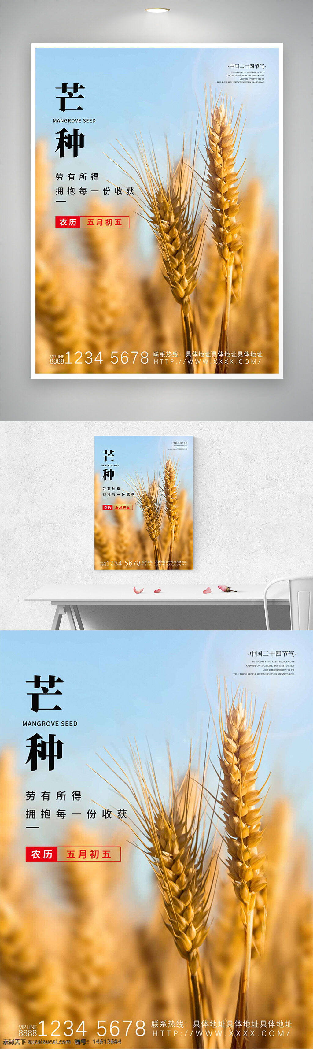 芒种 二十四节气 田园风光 金色麦穗 农历五月初五 传统文化 农业生产 丰收季节 农耕文化 自然景观 节气宣传 海报设计 麦田背景 季节更替 气候变化