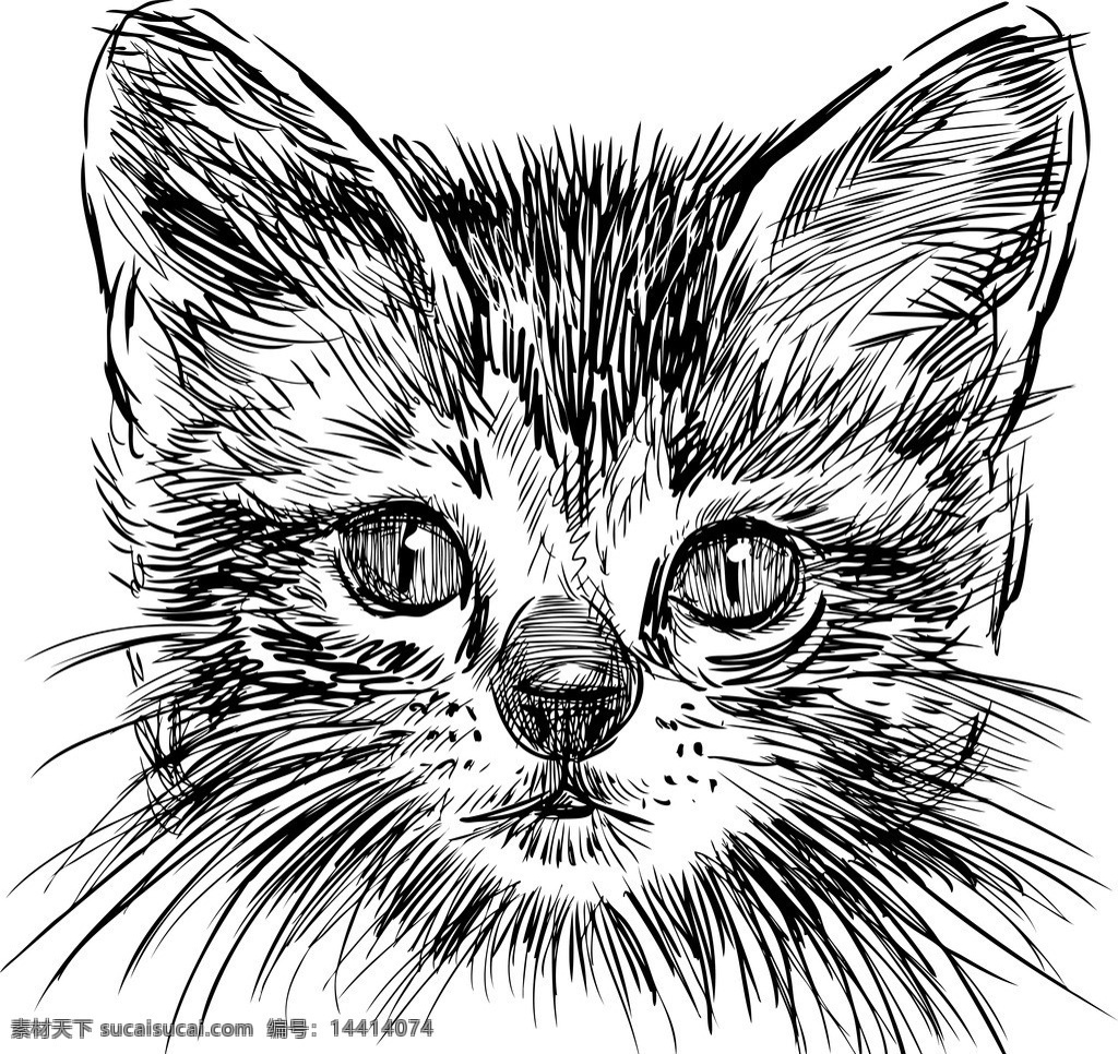 手绘猫 手绘动物 手绘 线描 素描 猫 宠物猫 宠物 猫咪 矢量 美术绘画 文化艺术