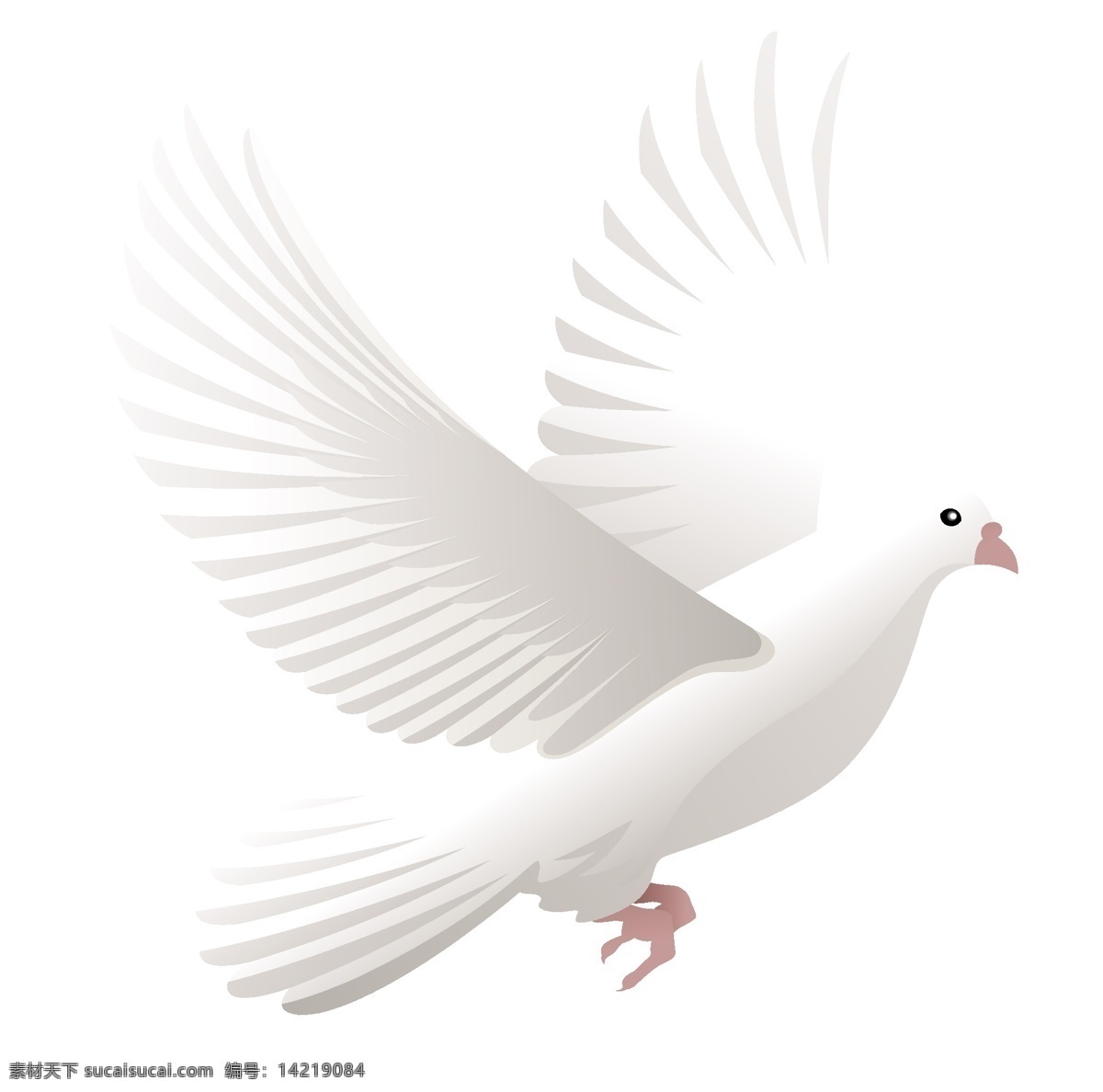 鸽子免费下载 矢量图 白色和平鸽 象征和平 其他矢量图