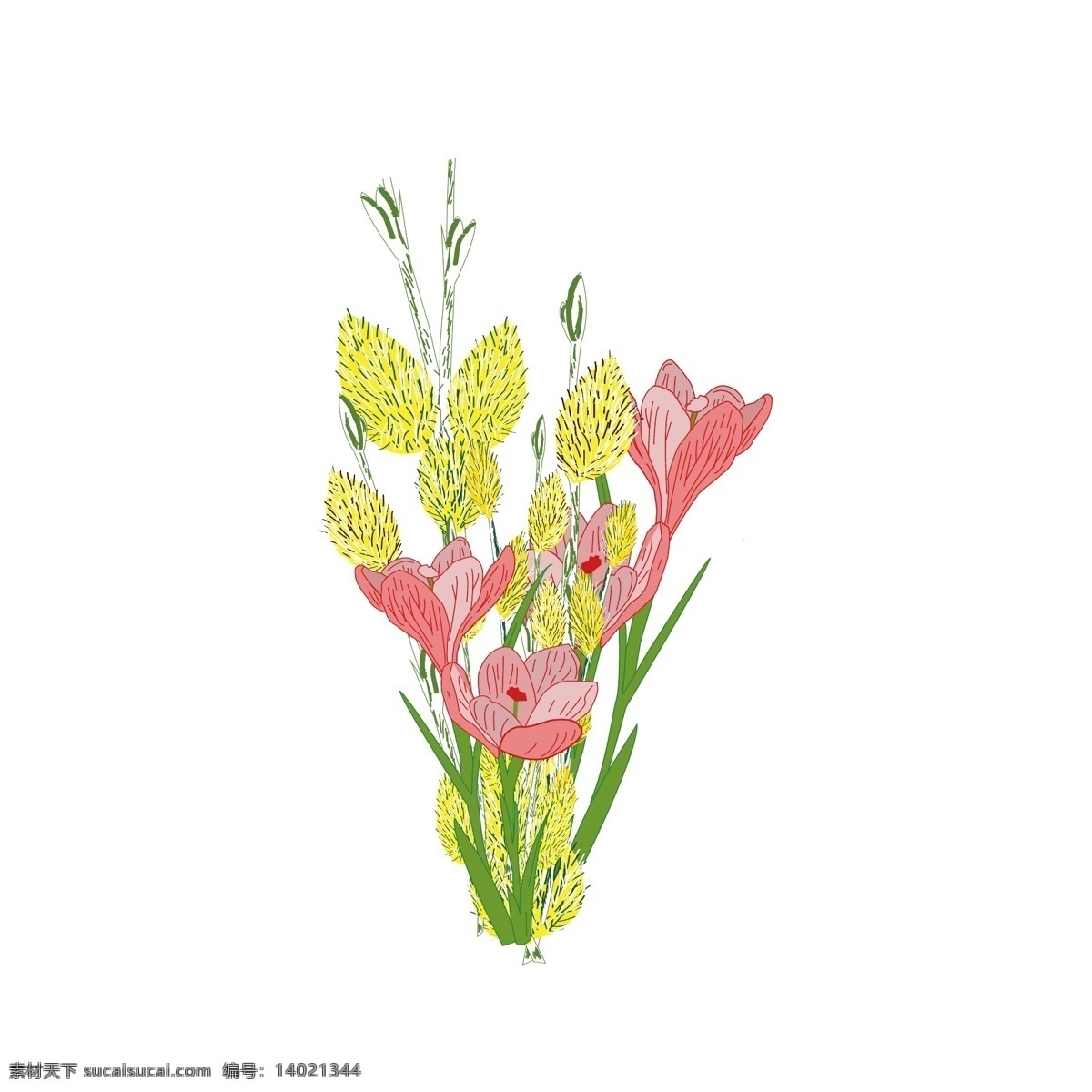 手绘 风 卡通 写实 花卉 花束