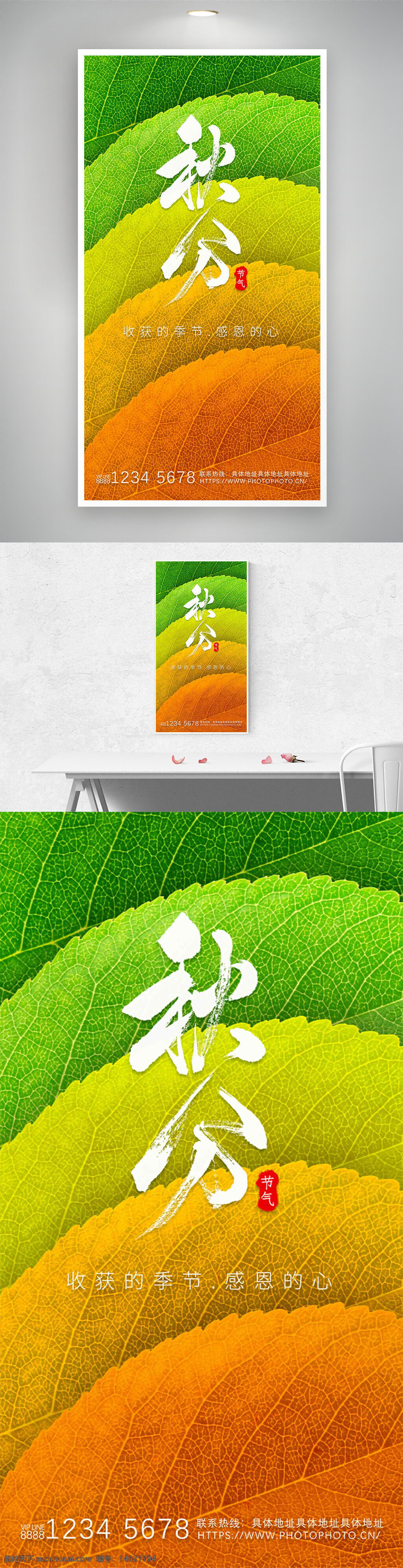 秋分 二十四节气 渐变背景 树叶纹理 节气宣传 秋季主题 创意设计 自然风光 黄色绿叶 季节变化 传统文化 收获季节 感恩主题