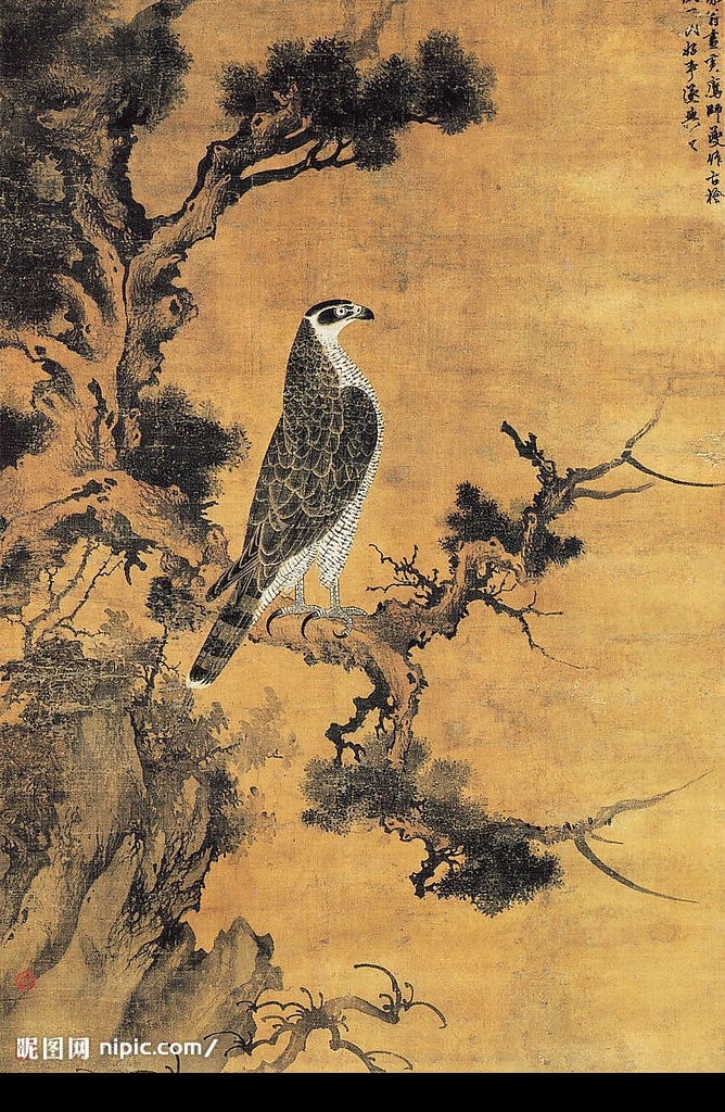 柏鹰图 柏鹰 羽毛 美感 张舜咨 元朝 画 古画 树森 山水 雪界翁 鸟 元代 书法 书画 绘画 文化艺术 美术绘画 摄影图库