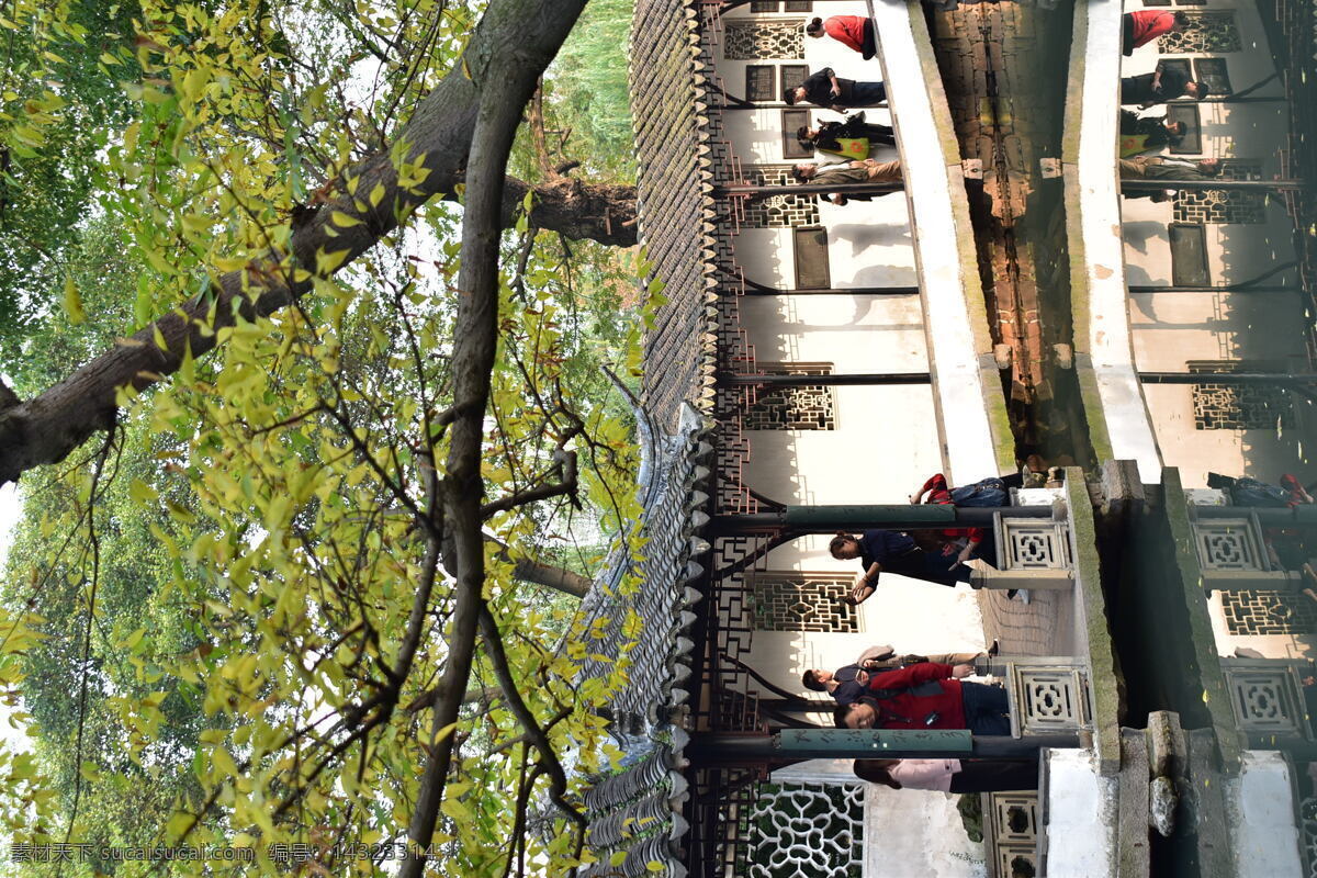 秋日回廊 拙政园 拙政园秋景 古建筑回廊 园林 苏州园林 旅游摄影 国内旅游