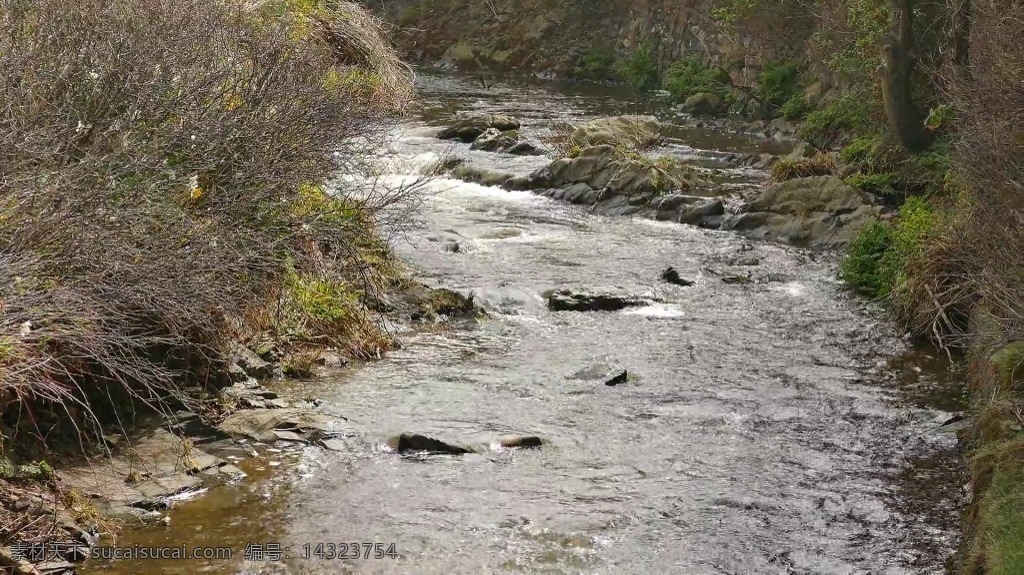 视频背景 实拍视频 视频 视频素材 视频模版 河流 小溪 小溪视频