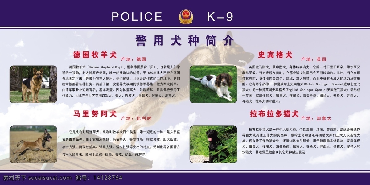 警犬 公安 狗 犬科 简介 警犬种犬 德国牧羊犬 马里努阿犬