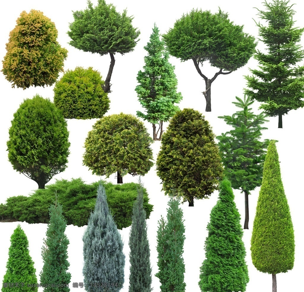乔木 灌木 效果图 效果图素材 园林 景观 园林效果图 景观效果图 设计素材 环境设计 景观设计 分层
