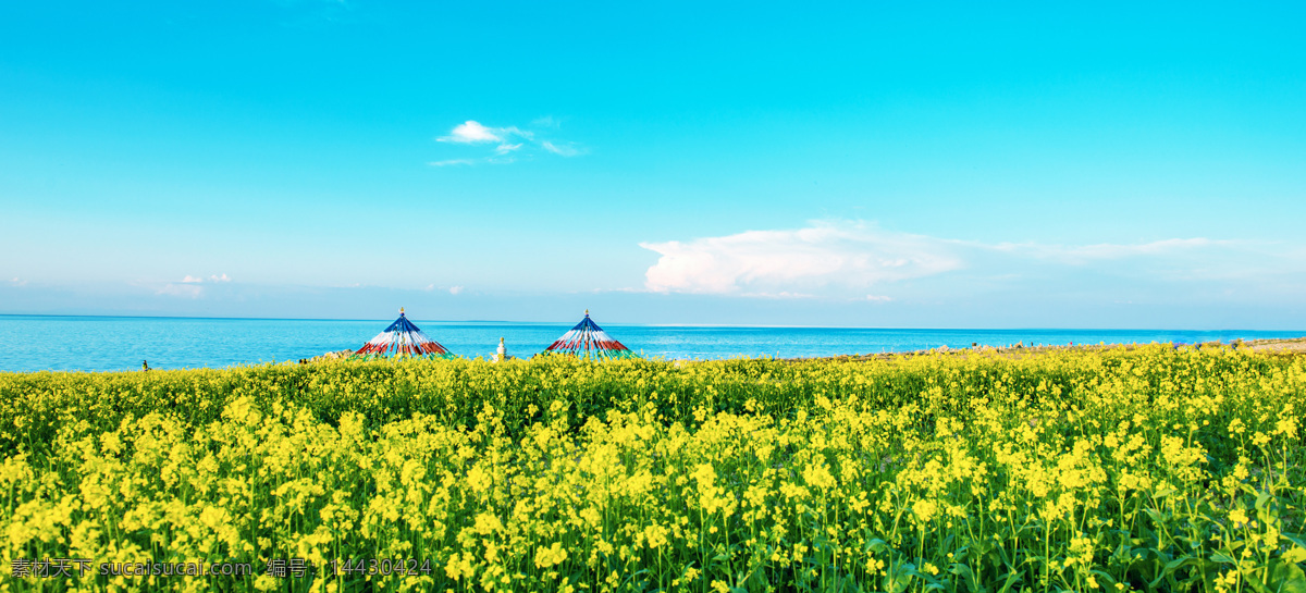 青海湖畔 油菜花 蓝天白云 经幡 湖泊 辽阔 青海 黄色 青海湖 清新 浩瀚 宁静 壮丽 恬静 无际 旅游摄影 国内旅游