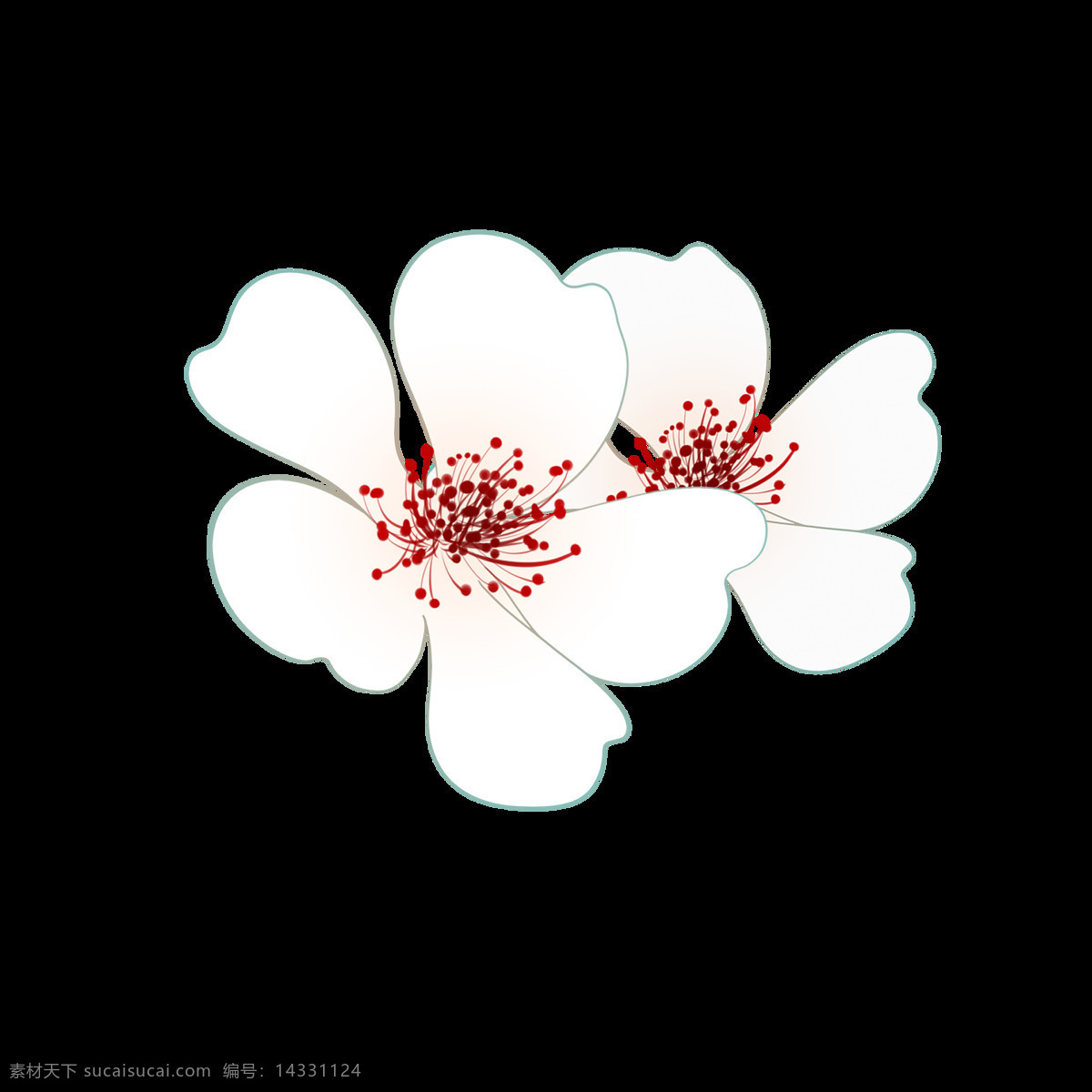 手绘 小 花朵 插画 商用 元素 白色 花瓣 绘画 花蕊