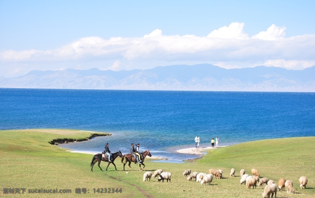 绿色草原 上 羊群 风景 蓝天 白云 马 海滩 人物 草地 云朵 绿地 琦逗 自然景观 自然风景