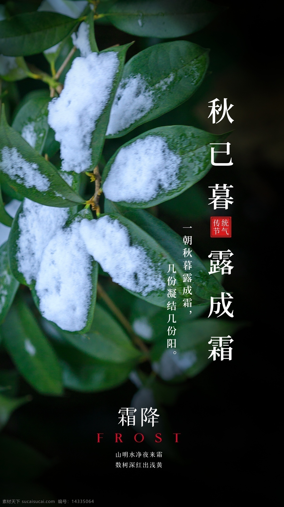 霜降 节气 传统 活动 海报 素材图片 传统节日
