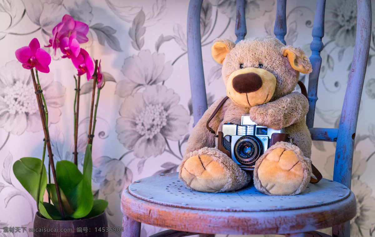 玩具熊图片 玩具熊 熊熊玩具 毛熊玩具 玩具 玩具布偶 布绒玩具 素材摄影 生活百科 生活素材