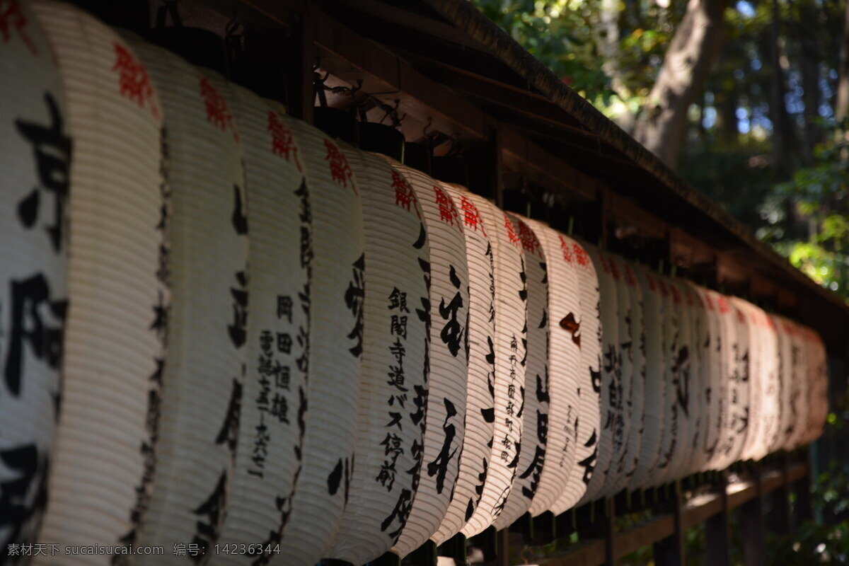 日本 京都 景点 灯笼 寺庙 汉字 白色灯笼 祭祀 阳光 树林 山路 房地产素材库 文化艺术 美术绘画 黑色