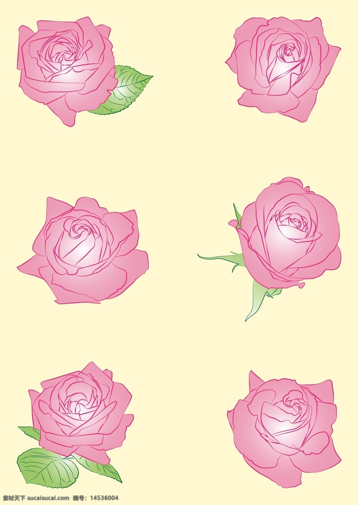 玫瑰 花朵 玫瑰花素材 玫瑰矢量图 花卉