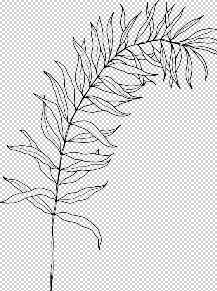 植物 花朵 装饰 图案 欧式植物 植物花朵 树枝 花卉 树叶 图谱 装饰图案 简笔画 花边花圈