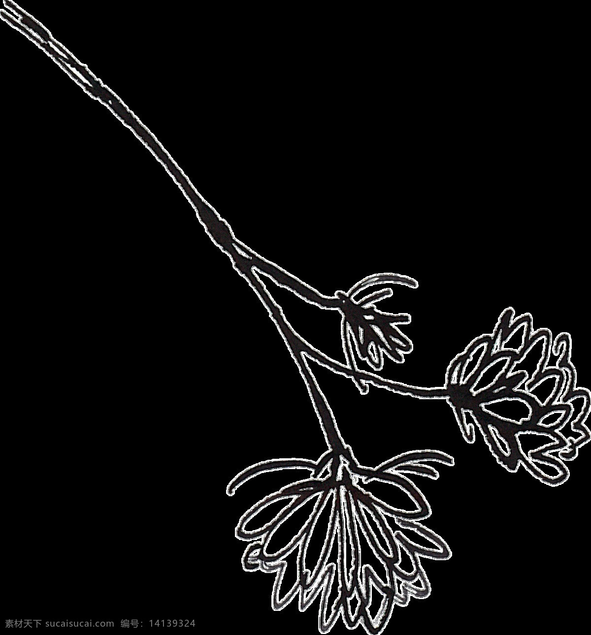 黑白 植物 卡通 透明 抠图专用 装饰 设计素材