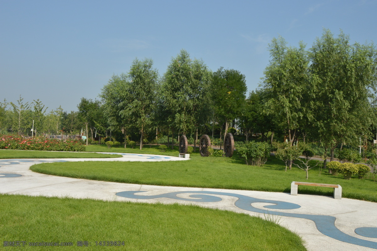 绿化景观 园林景观 大道 柳树 月季花 雕塑 造型 小路 树林 风景 园林摄影 树木 花草 园林绿化 建筑园林 园林建筑