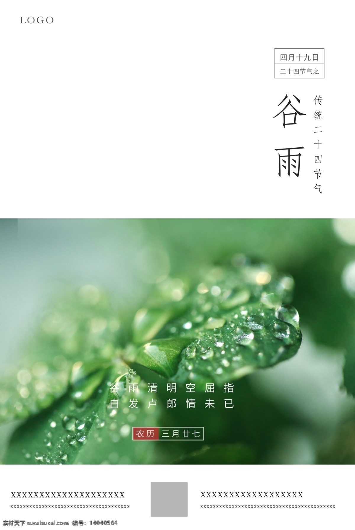 谷雨 时节 二十四时节 雨滴 雨后