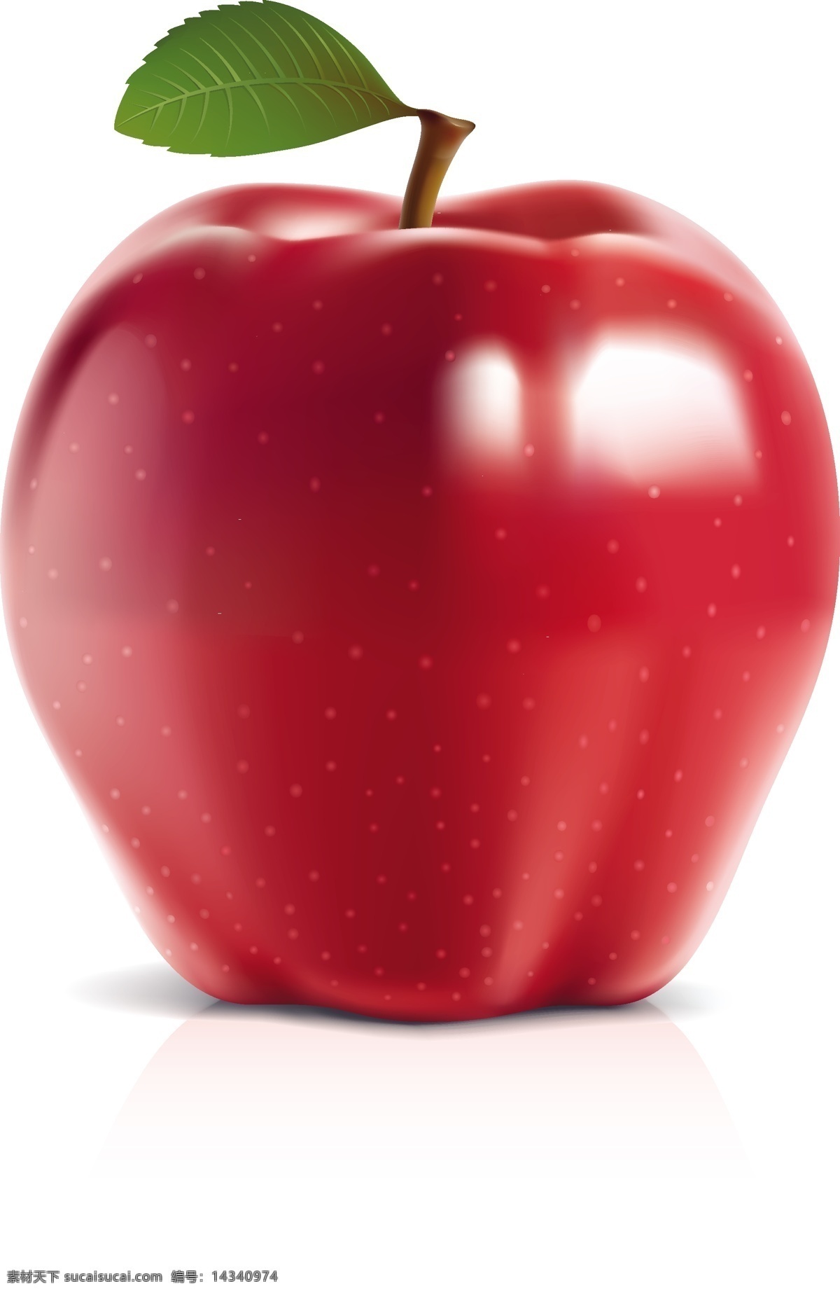 新鲜 红苹果 苹果 矢量水果 矢量素材 叶子 矢量图 日常生活