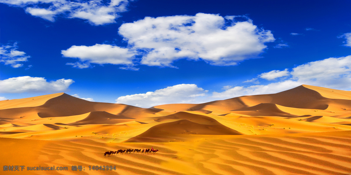 沙漠骆驼 蓝天白云 沙漠 骆驼 蓝天 白云 黄沙 蓝色
