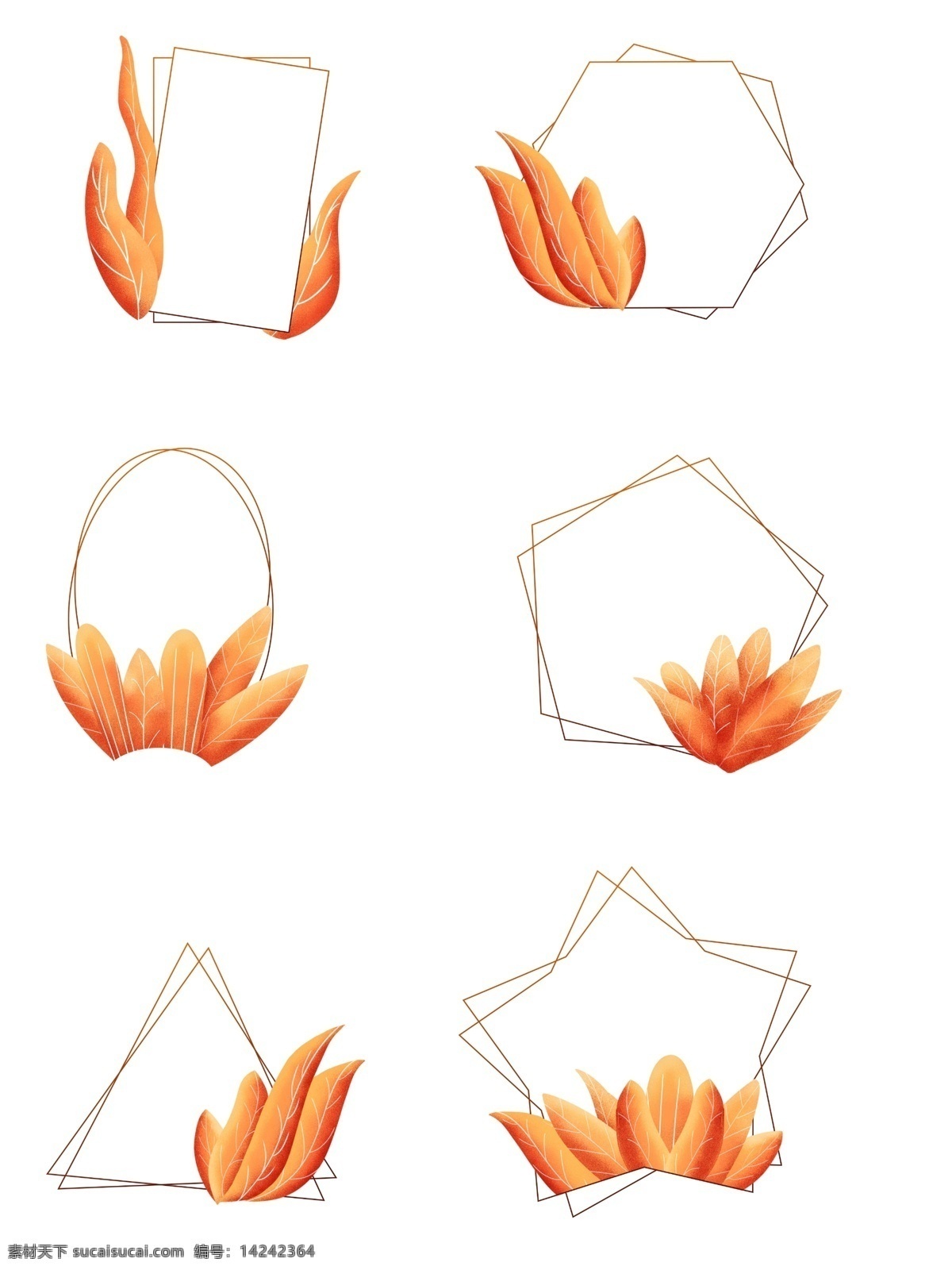 手绘 珊瑚 橘 配色 植物 叶子 边框 元素 手绘植物 手绘边框 植物叶子 珊瑚橘边框 珊瑚橘叶子