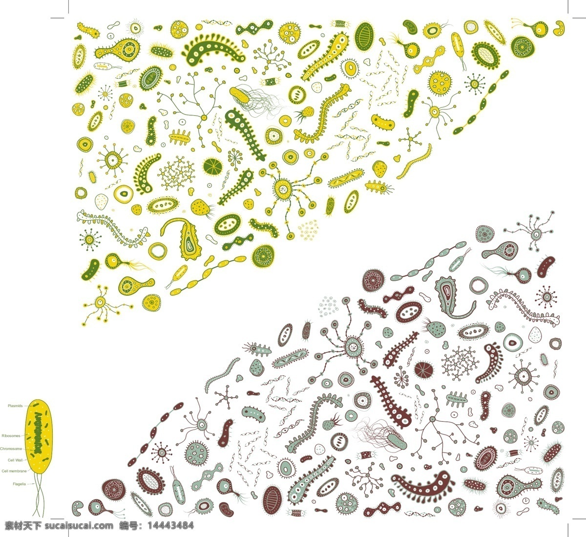 手绘 微生物 矢量 材料 画 生物 手 细菌 寄生虫 载体 矢量图 矢量人物