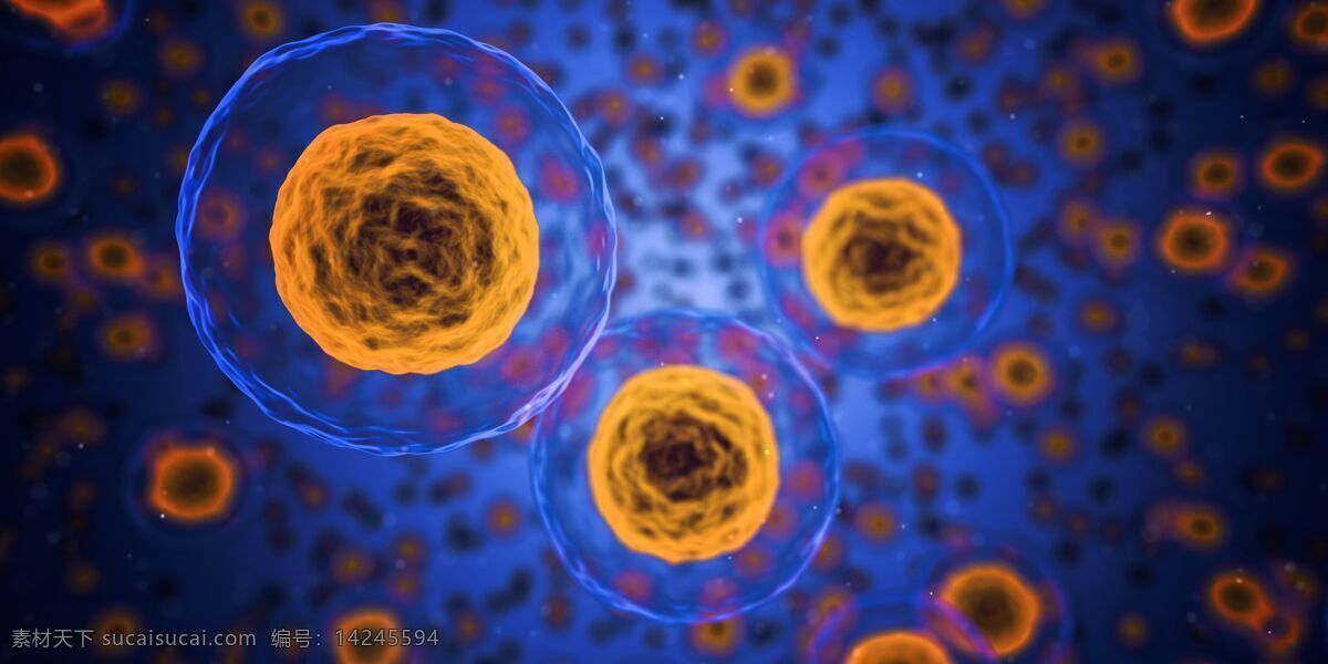 细胞 医疗 健康 病毒 冠状 流行病 防护 研究 生物 科技 戴口罩 病菌 危害 生物世界