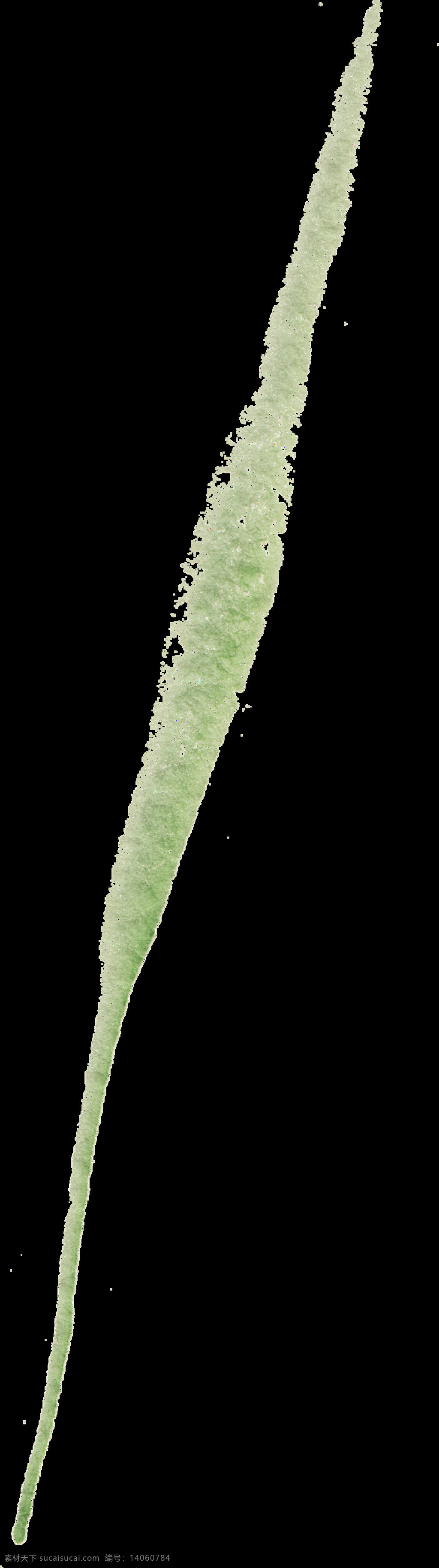 碧绿 细 枝 透明 装饰 花枝 绿色 免扣素材 透明素材 装饰图案