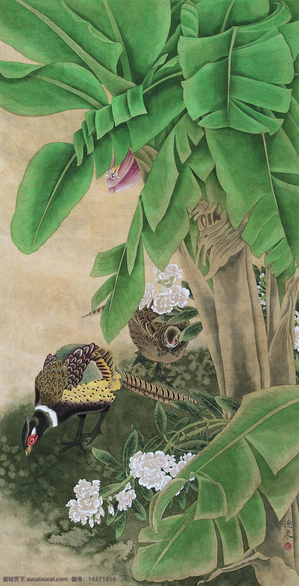 锦鸡芭蕉 锦鸡 芭蕉 热带雨林 工笔画 花鸟画 国画 张德泉 绘画书法 文化艺术