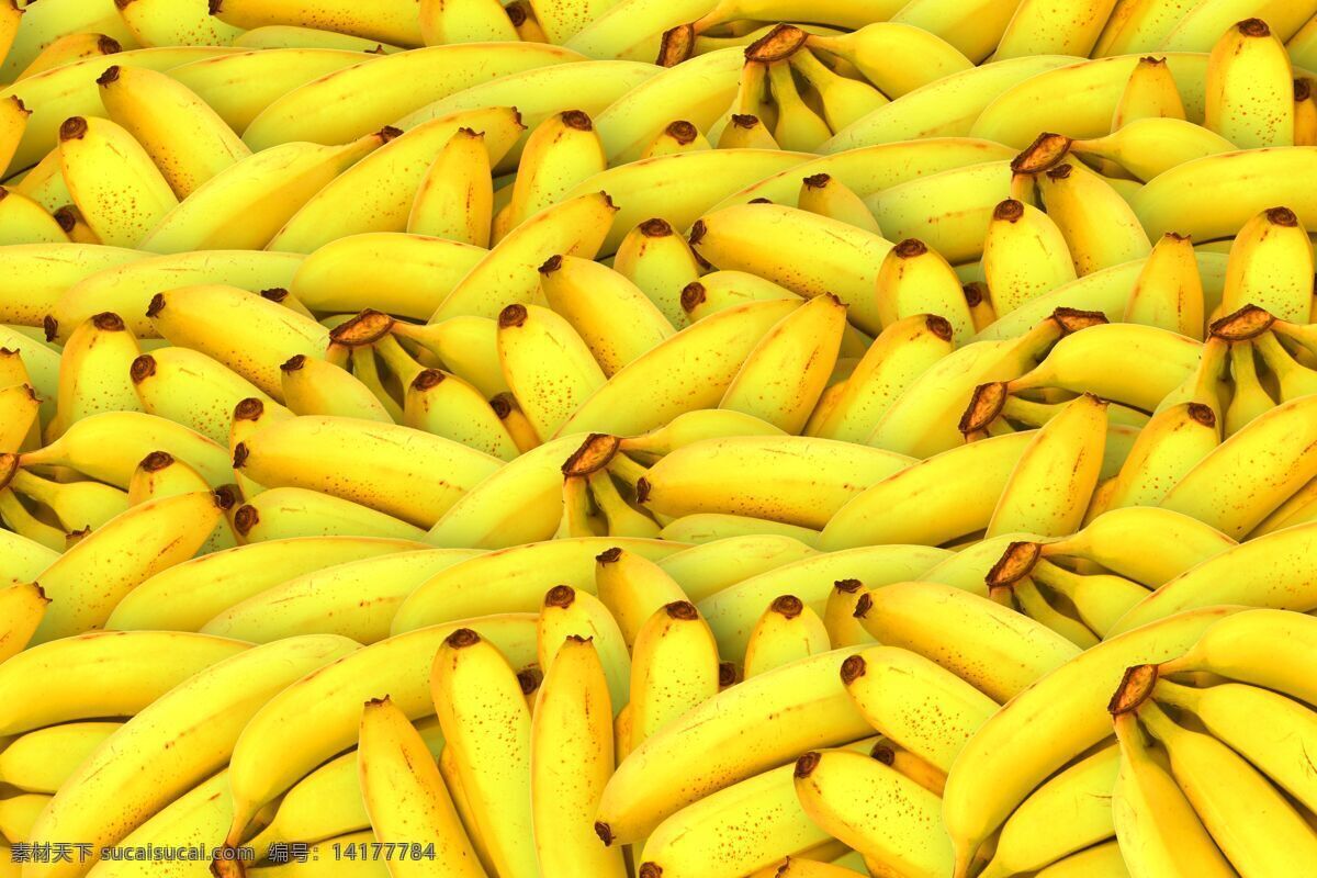 香蕉海报 水果店海报 水果店展架 水果超市 水果创意 绿色香蕉 香蕉挂画 水果店 香蕉展架 新鲜香蕉 香蕉包装 香蕉广告 香蕉种植 香蕉基地 香蕉批发 水果 水果海报 水果展架 香蕉展板 红香蕉 仙人蕉 香牙 香甜香蕉 美味香蕉 果蔬 果蔬干果 生物世界