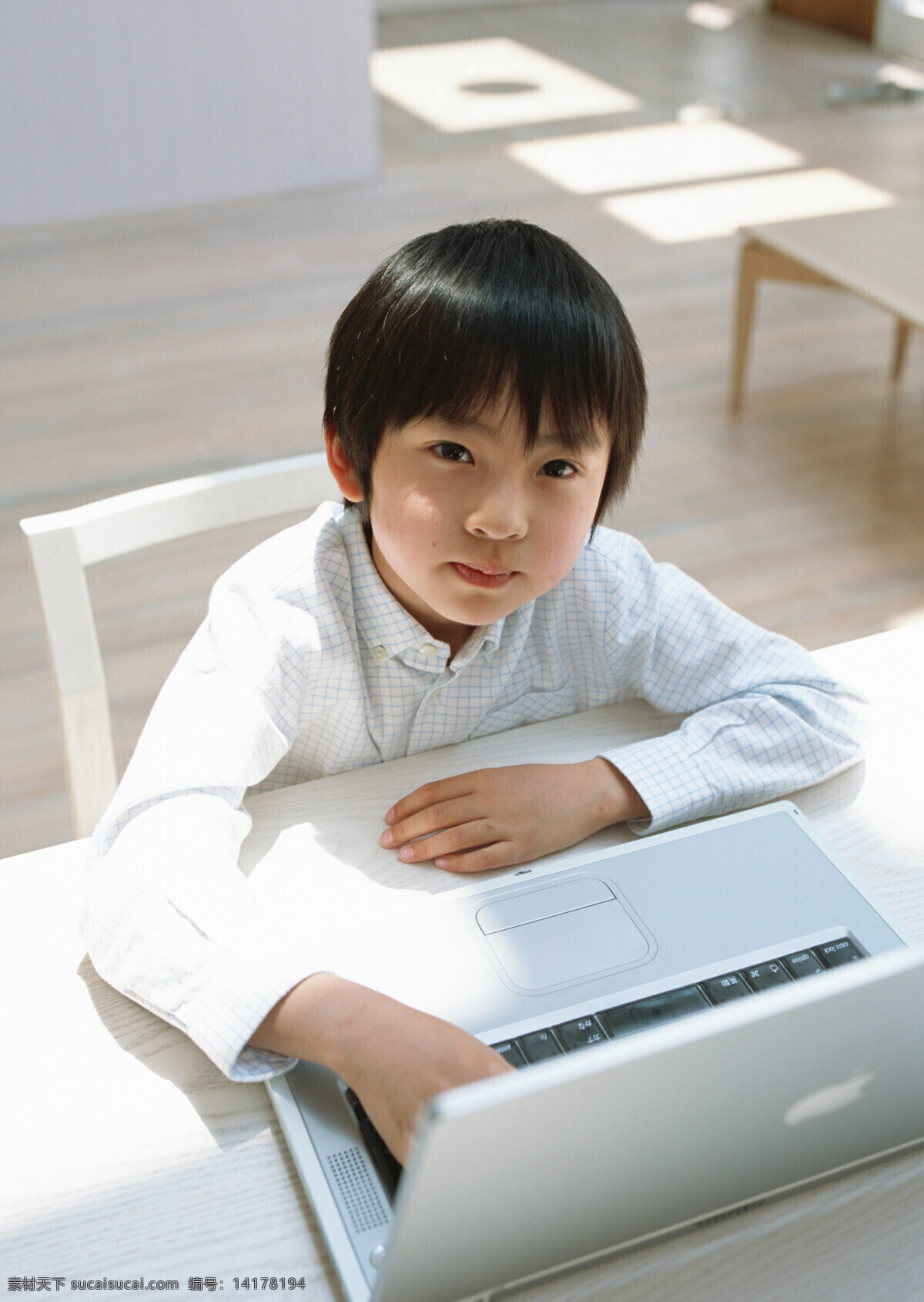 玩电脑 小 男孩 儿童 可爱 小男孩 学习 电脑 抬头 仰望 生活人物 人物图片
