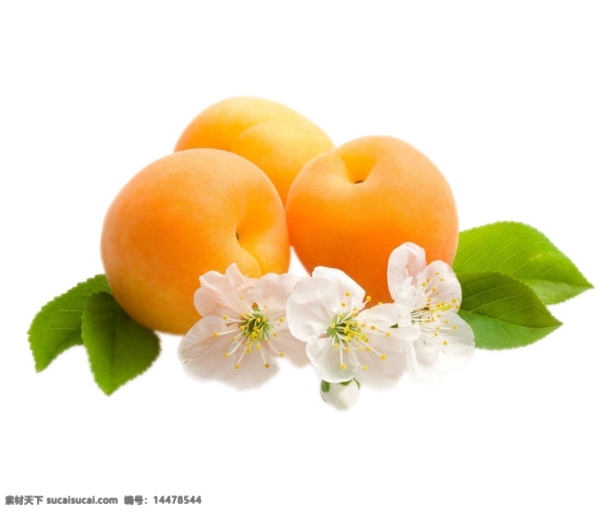 黄桃和花图片 水果 水果图片 黄桃 黄桃图片 花 花儿图片 白色小花 水果跟花 水果和花分层 水果图 叶子
