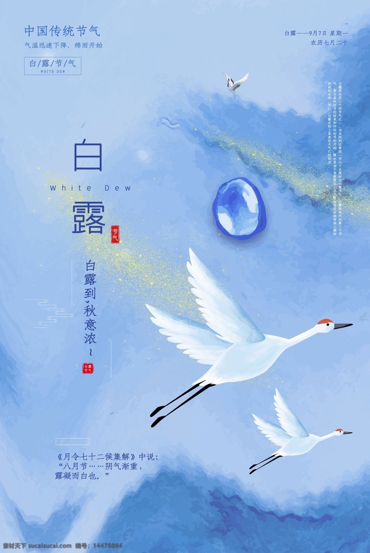 白露 传统节日 活动 促销 海报 传统 节日
