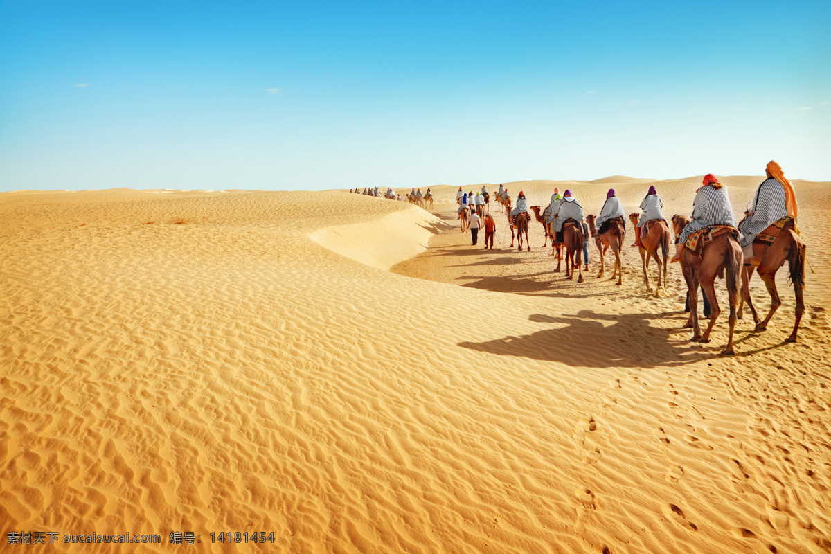 骑 骆驼 行驶 沙漠 人群 驼驼 人物 蓝天白云 沙子 风沙 山丘 沙漠风景 荒漠风景 美丽风景 风景摄影 美丽景色 自然风景 自然景观 黄色