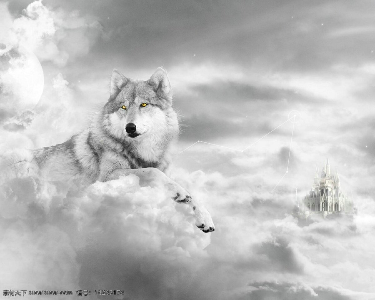 狼 云层 灰色 狼道 狼图腾 云 天空 生物世界