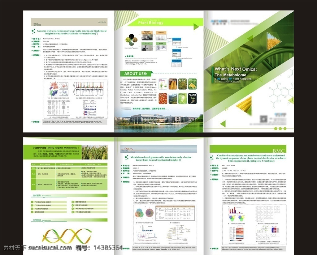 生命 科技 三 折页 绿色 生物 科学 dm宣传单