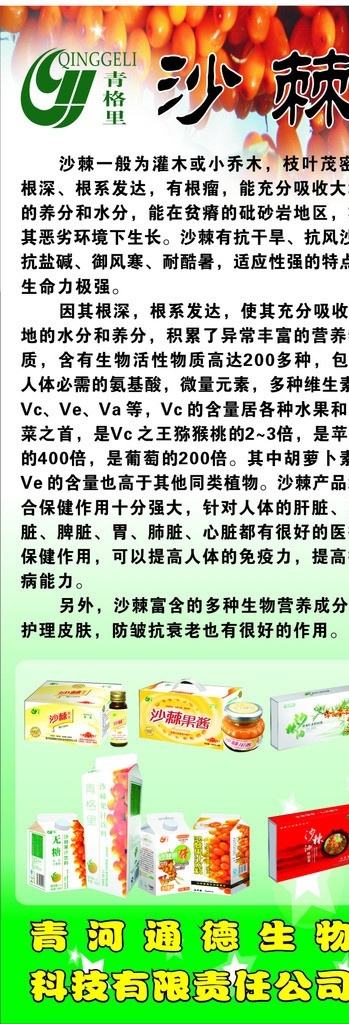 青格里展架 x展架 展架 沙棘 沙棘图片 展架背景 青格里标志 沙棘展架 沙棘产品图片 沙棘简介 展板模板 矢量