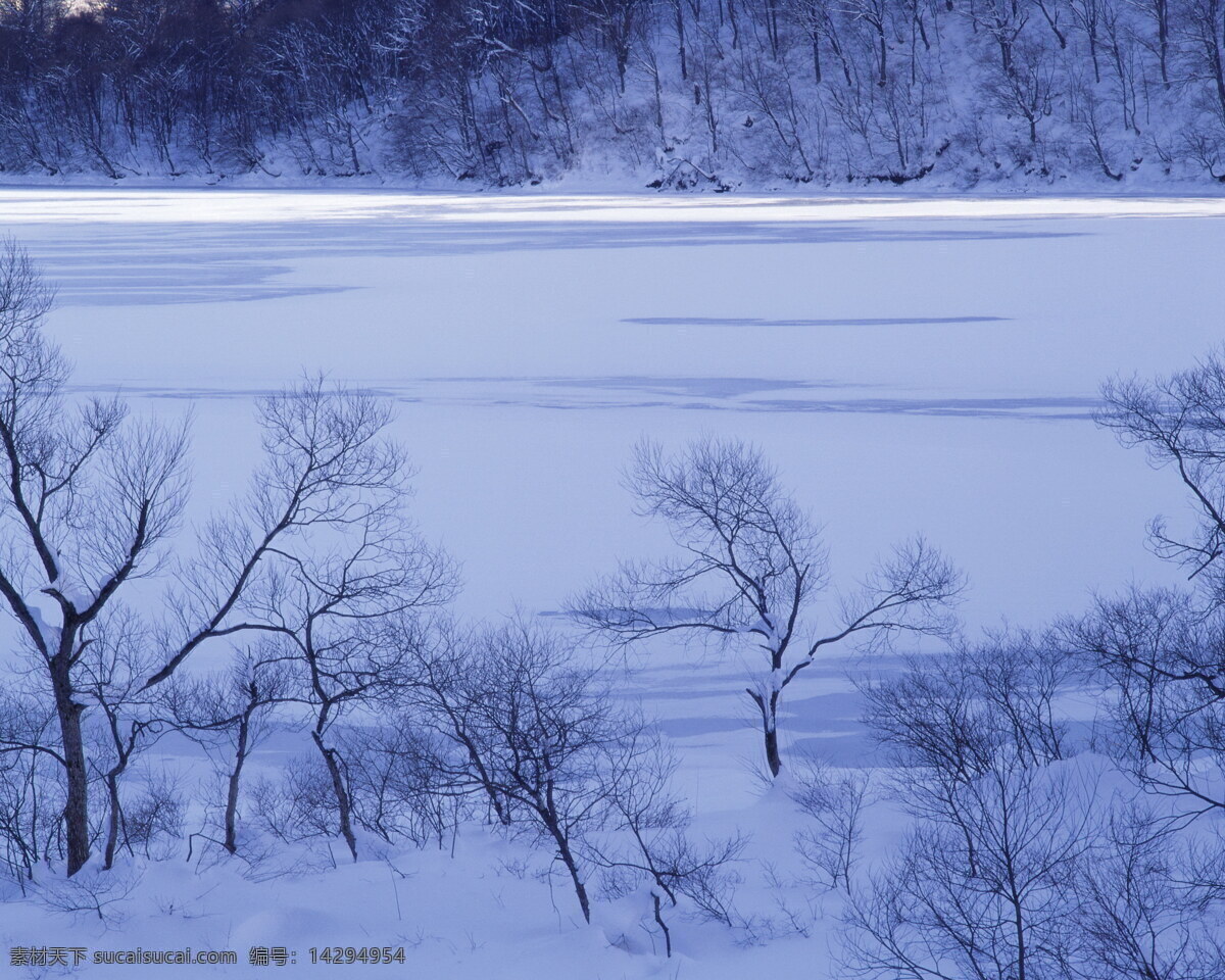 冬天 雪景 背景 冬天雪景 风光 风景 季节 摄影图库 自然 自然风景 自然景观 生活 旅游餐饮