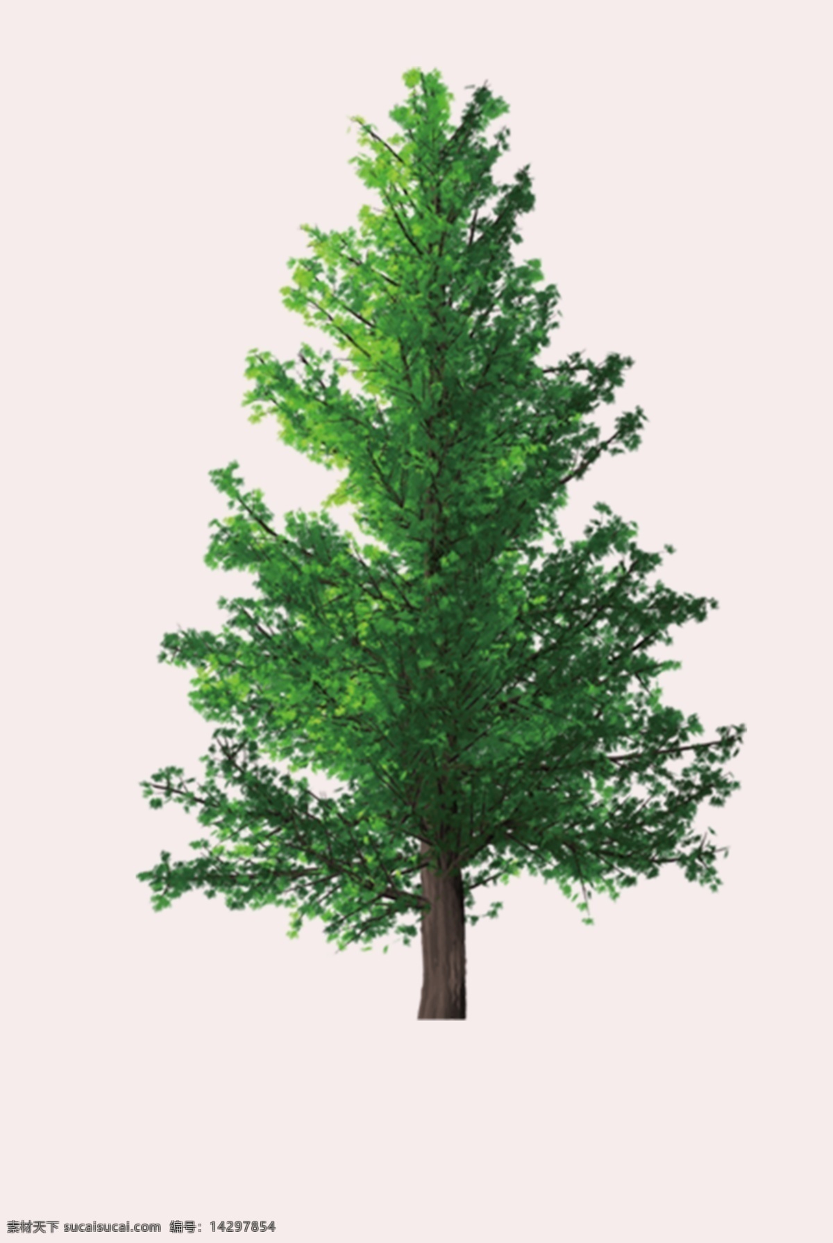 绿树 大树 树叶 树枝 树干 植物 绿色 标识 生物世界 树木树叶